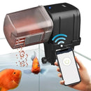 Auto Fish - Alimentador Automático